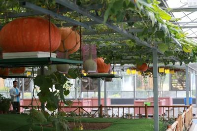 感受知青激情歲月，助力鄉(xiāng)村振興——省第九屆全民健身運動會氣排球活動走進蘭陵