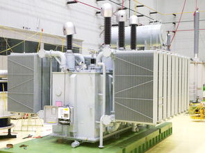 創(chuàng)新驅(qū)動(dòng)，品質(zhì)引領(lǐng) 山東電工電氣六款工程機(jī)械設(shè)備通過(guò)國(guó)家級(jí)鑒定
