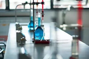 為什么科學家要做 沒用 的研究