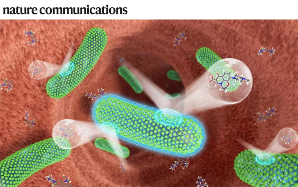 專(zhuān)訪郭俊凌丨川大/哈佛團(tuán)隊(duì)合作開(kāi)發(fā)植物多酚納米材料,可保護(hù)益生菌免受抗生素殺傷,相關(guān)LBP活體生物藥計(jì)劃推進(jìn)臨床I期