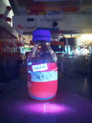 新型碳基納米材料助力農(nóng)業(yè)應用