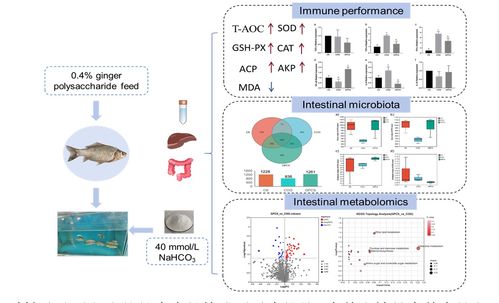 中國水產(chǎn)科學研究院在鹽堿水域養(yǎng)殖與生物基材料技術(shù)研發(fā)領(lǐng)域取得新進展