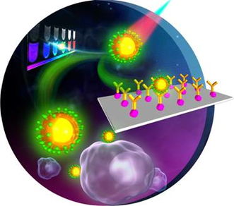 福建物構(gòu)所稀土上轉(zhuǎn)換熒光生物標記材料研究取得新進展