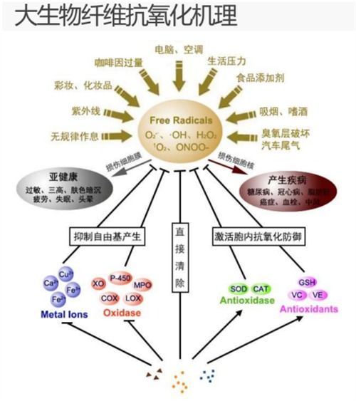 大生物纖維 點燃中國紡織業變革與山東新舊動能轉換的燎原之火